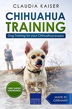 Chihuahua Training: Dog Training for your Chihuahua puppy