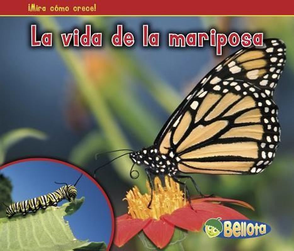 La Vida de la Mariposa