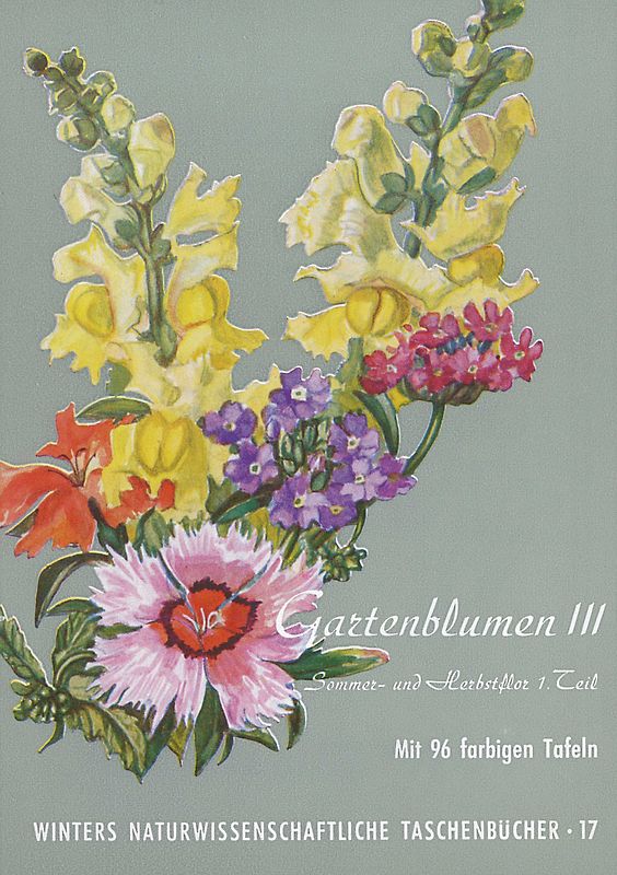 Gartenblumen / Sommerflor 1