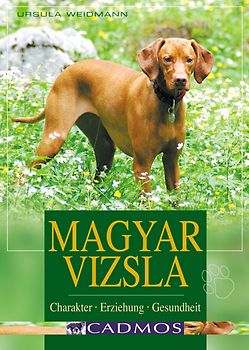 Magyar Vizsla