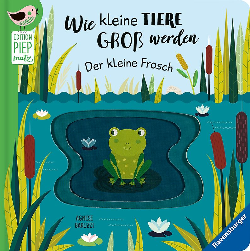 Edition Piepmatz: Wie kleine Tiere groß werden: Der kleine Frosch