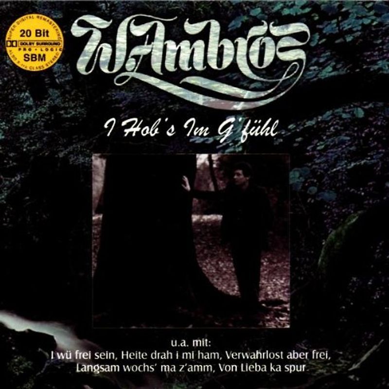 Wolfgang Ambros - I Hob'S im G'Fühl