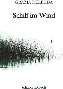 Schilf im Wind