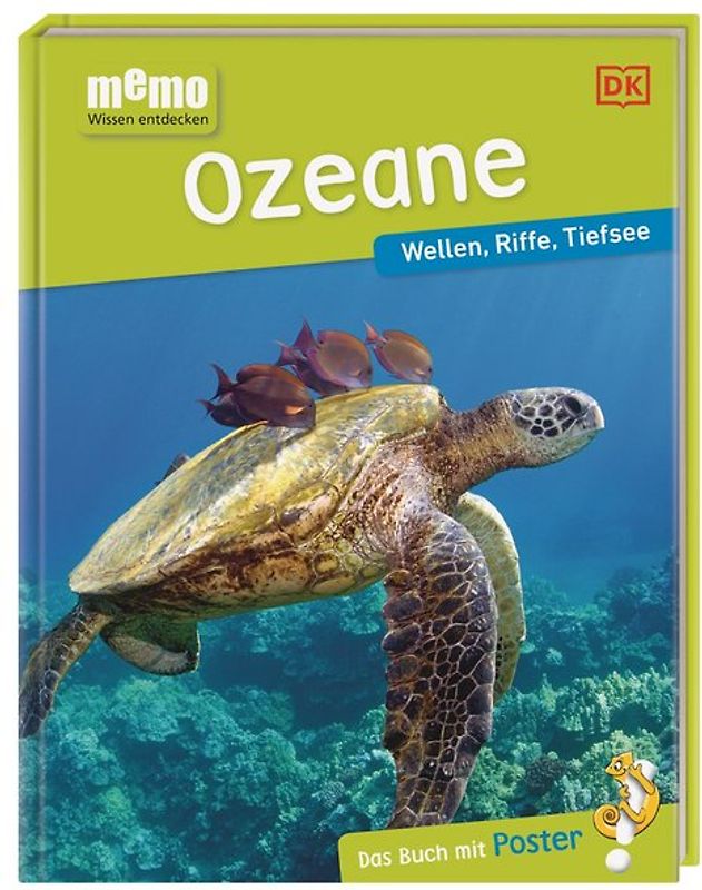 memo Wissen entdecken. Ozeane