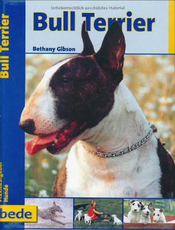 Praxisratgeber Bull Terrier