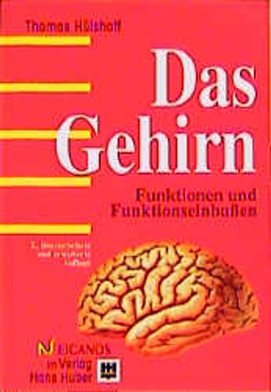 Das Gehirn