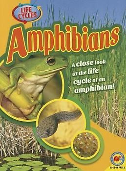 Amphibians