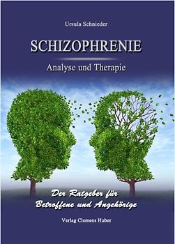Schizophrenie - Analyse und Therapie