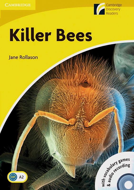 Killer Bees
