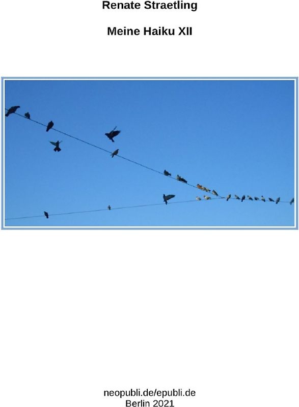 Meine Haiku XII