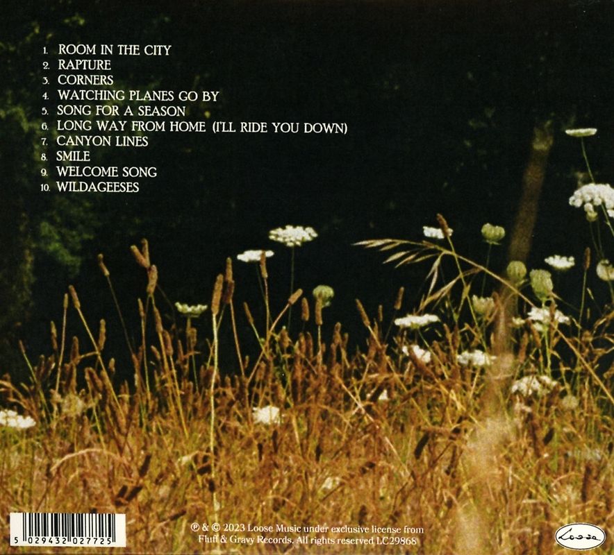 Kommunistische Bewegung und realsozialistischer Staat. Beiträge zum deutschen und internationalen Kommunismus