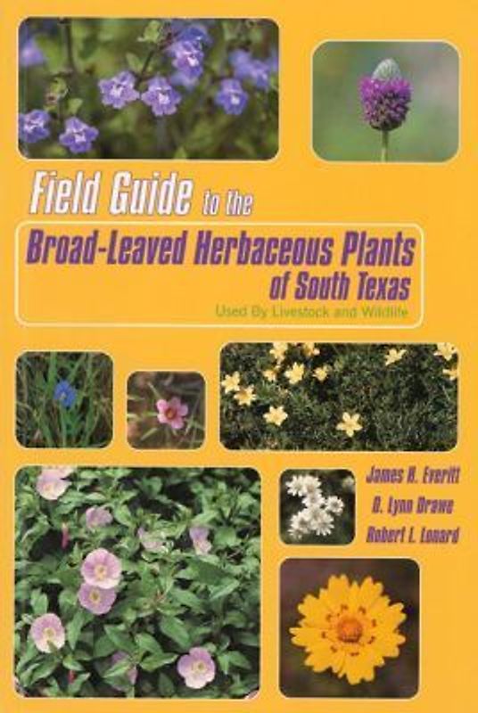 Field Guide to the Broad-Leaved Herbaceous Plants of South Texas