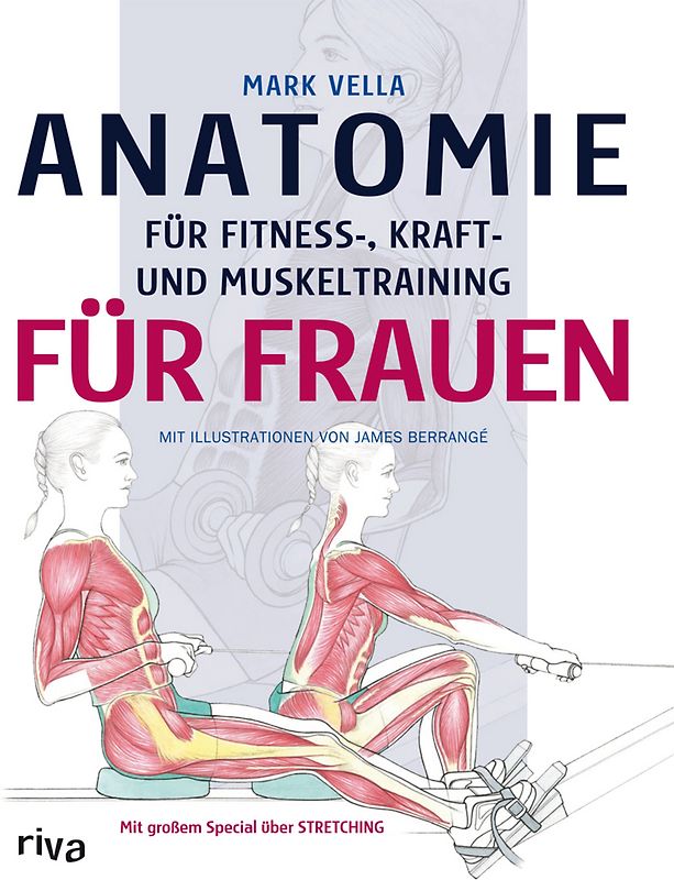 Anatomie für Fitness-, Kraft- und Muskeltraining für Frauen