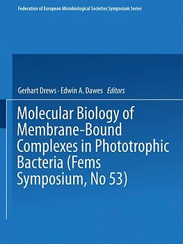 Molecular Biology of Membrane-Bound Complexes in Phototrophic Bacteria