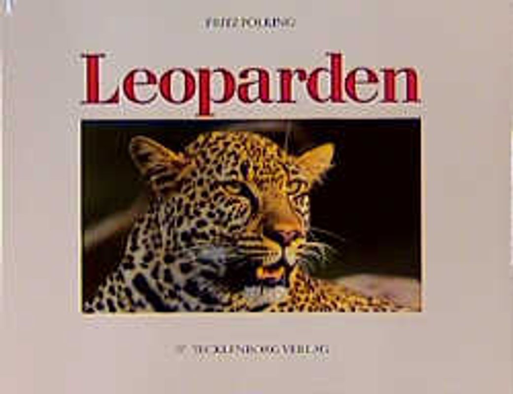 Leoparden