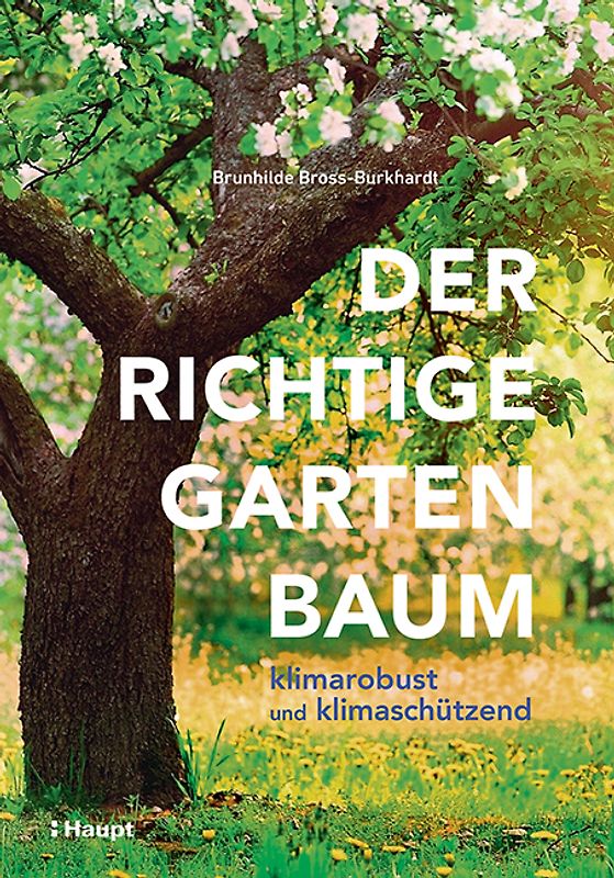 Mein Gartenbaum - klimarobust und klimaschützend
