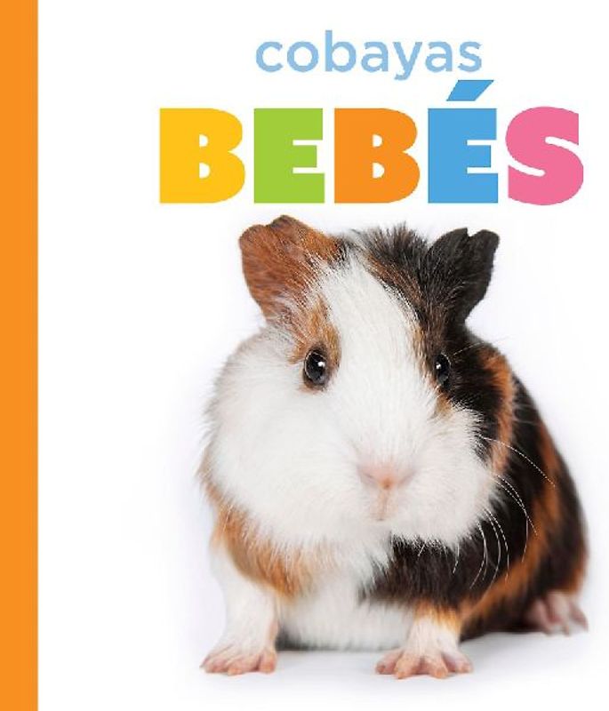 Cobayas Bebés