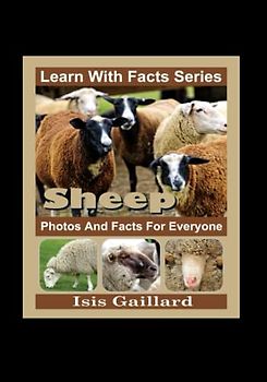Sheep Photos and Facts for Everyone: Animals in Nature (Learn With Facts Series, Band 95)