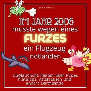 Im Jahr 2006 musste wegen eines Furzes ein Flugzeug notlanden