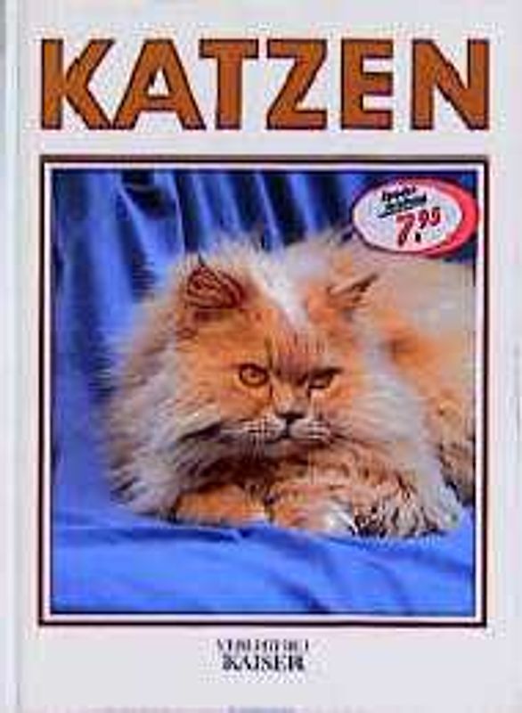 Katzen