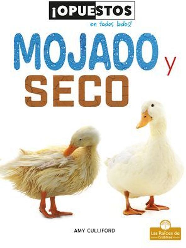 Mojado Y Seco (Wet and Dry)
