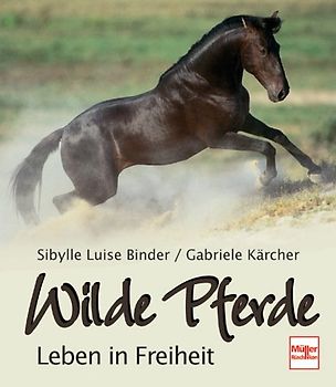 Wilde Pferde - Leben in Freiheit