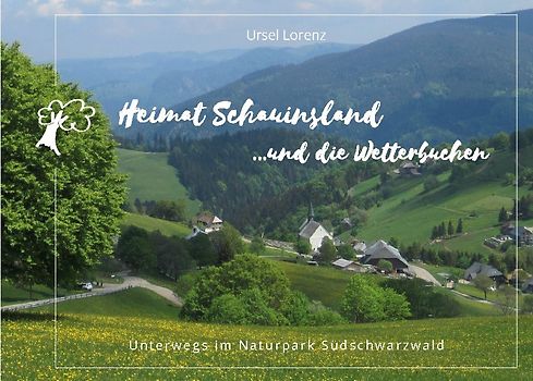 Heimat Schauinsland ... und die Wetterbuchen