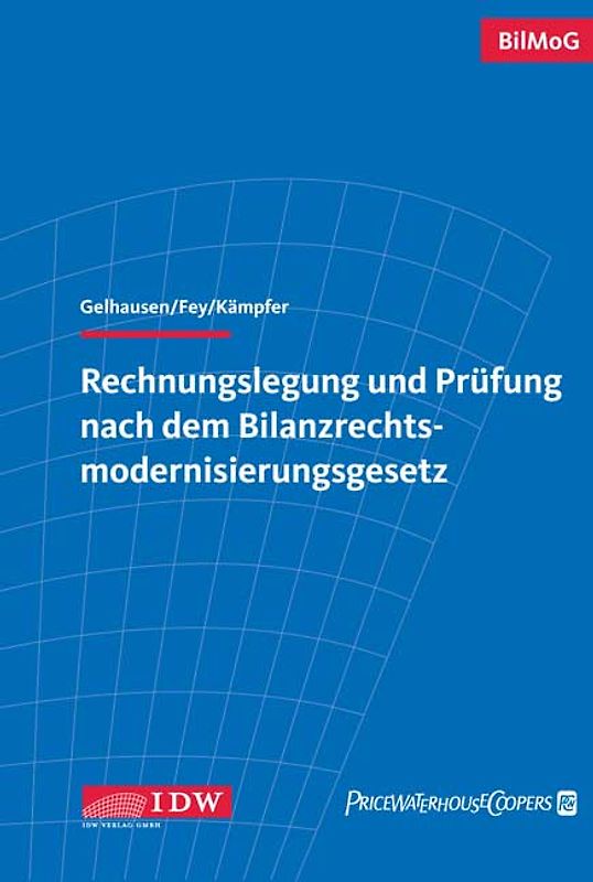 Rechnungslegung/Prüfung nach dem BilMoG