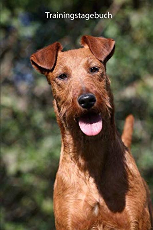 Trainingstagebuch: für Deinen Irish Terrier - mit Vorlagen schnell und einfach das Training dokumentieren (Irish Terrier - alle Bücher: Trainingstagebuch, Krankenakte und Welpentagebuch, Band 1)
