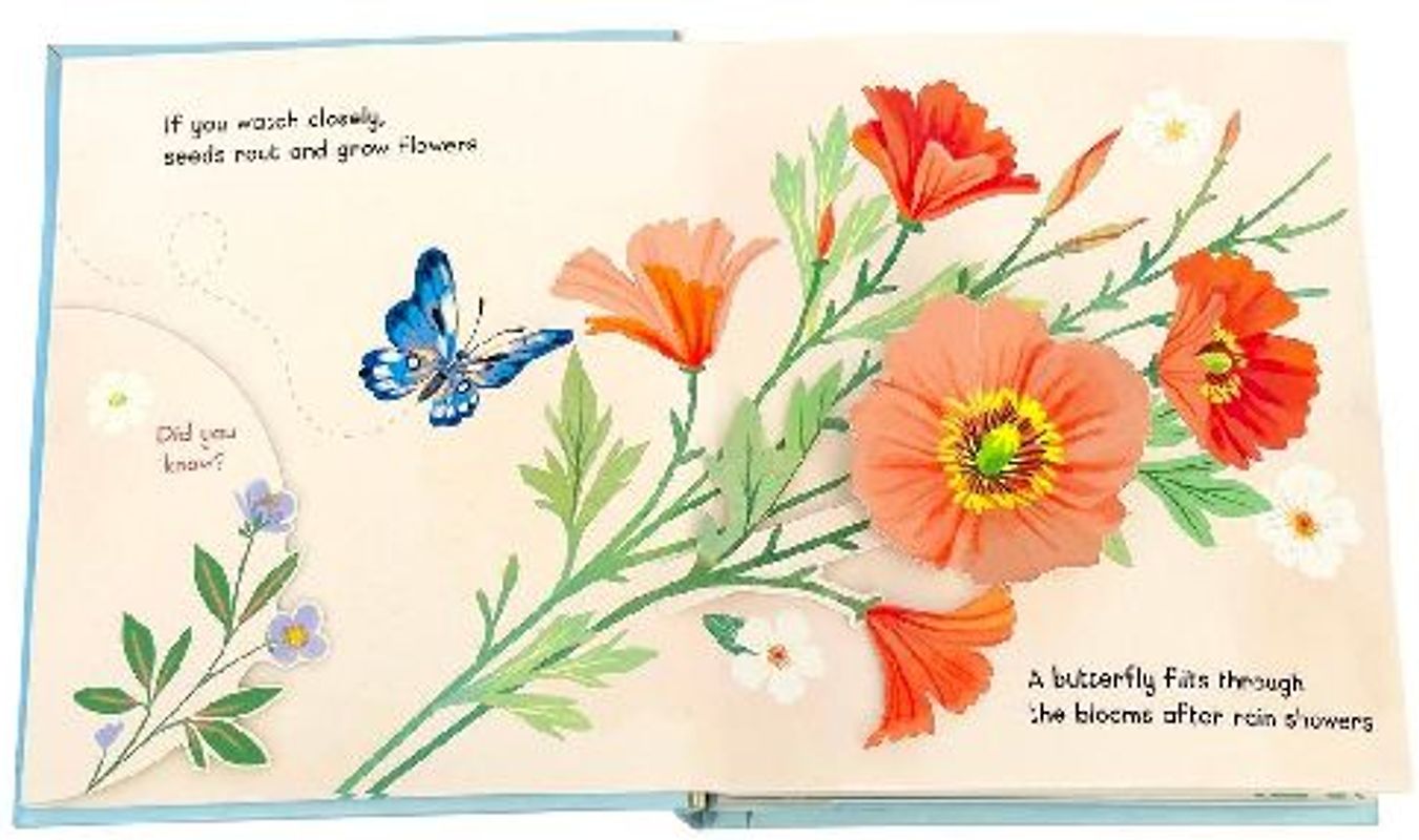 Little Book of Flowers