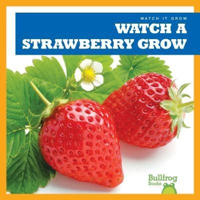 Watch a Strawberry Grow