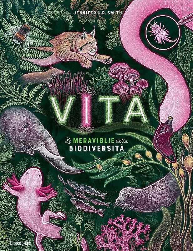 Vita. Le meraviglie della biodiversità. Album scoperte