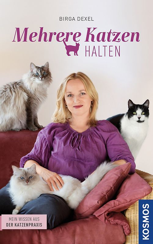 Mehrere Katzen halten