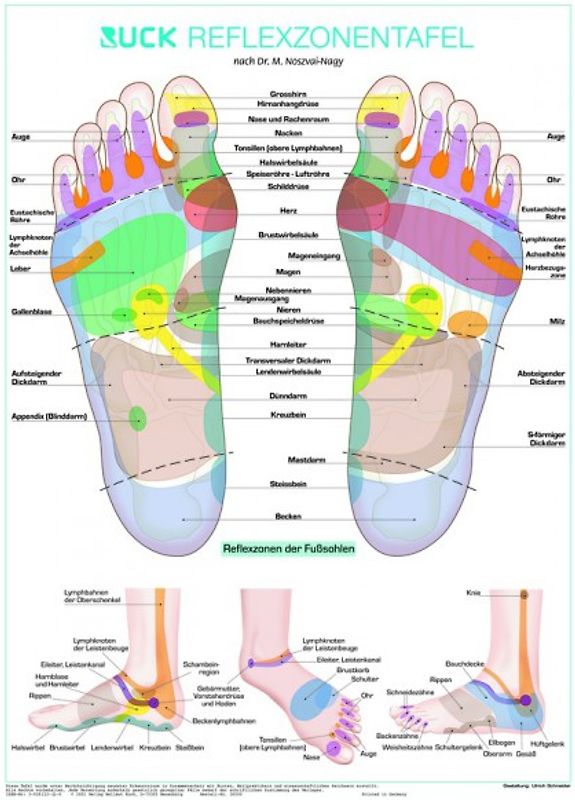 Ruck-Reflexzonentafel