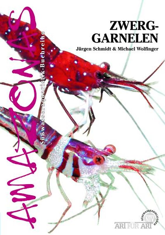 Zwerggarnelen im Süßwasseraquarium