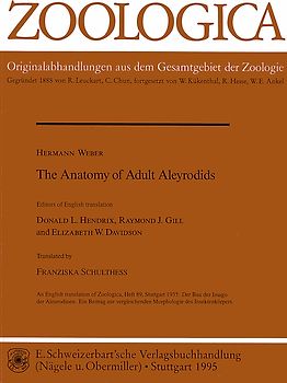 The Anatomy of Adult Aleyrodids