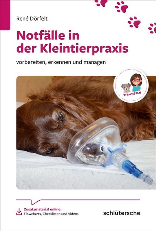Häufige Notfälle bei Hund und Katze