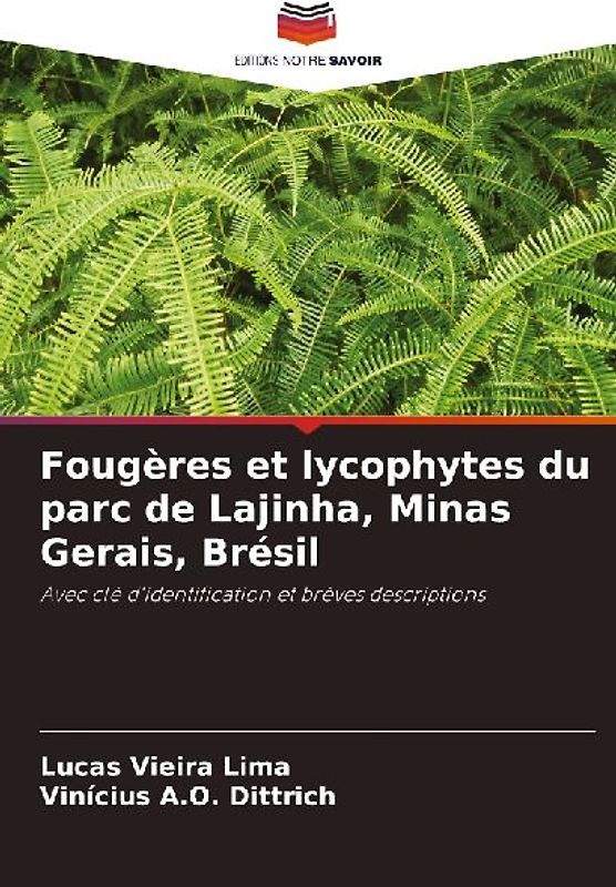 Fougères et lycophytes du parc de Lajinha, Minas Gerais, Brésil