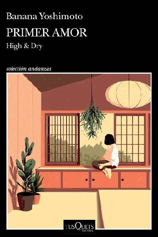 Primer Amor (Novela) / High and Dry (a Novel)