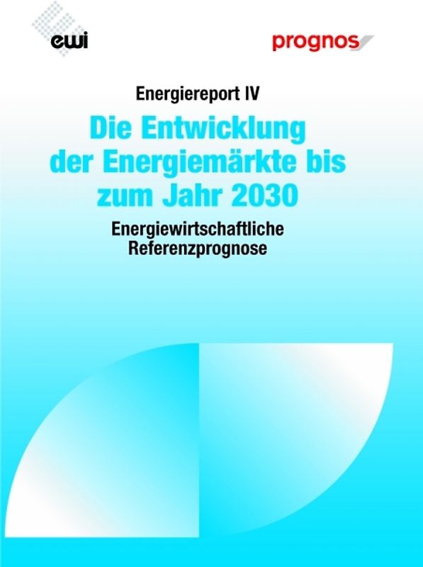 Energiereport IV