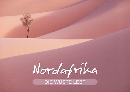Die Wüste lebt – Nordafrika (Posterbuch DIN A4 quer)
