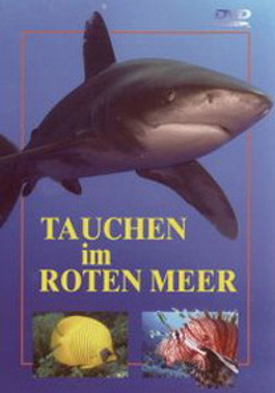 Tauchen im Roten Meer DVD