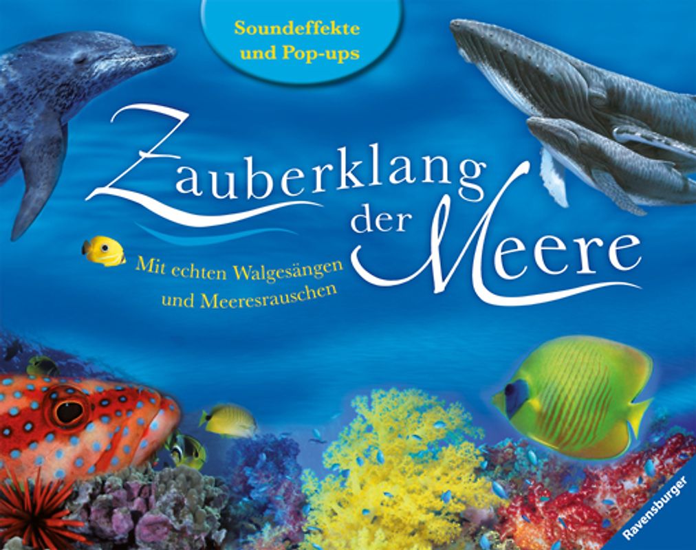 Zauberklang der Meere