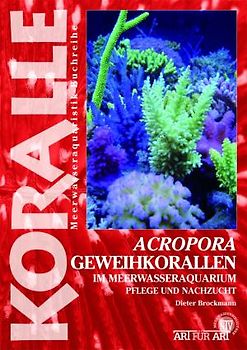 Acropora - Geweihkorallen im Meerwasseraquarium