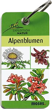 Expedition Natur - Alpenblumen