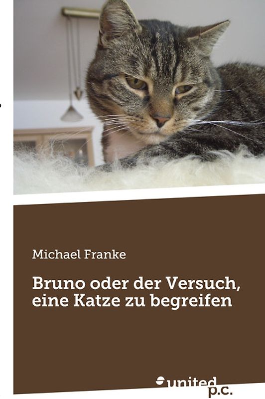 Bruno oder der Versuch, eine Katze zu begreifen