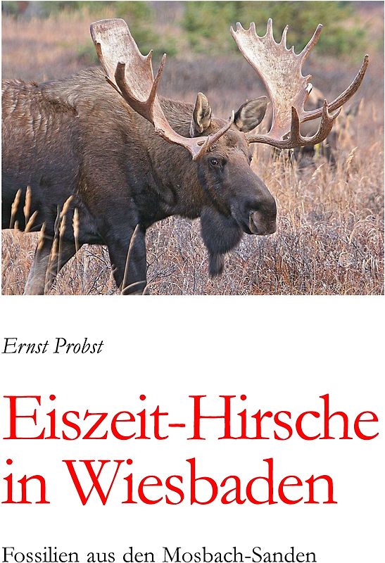 Eiszeit-Hirsche in Wiesbaden