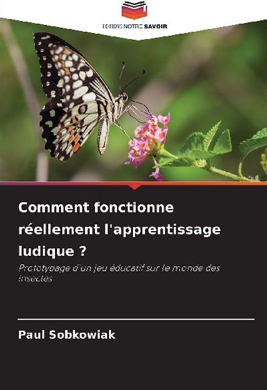 Comment fonctionne réellement l'apprentissage ludique ?