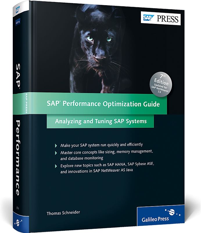 SAP Performance Optimization Guide