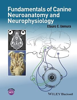 Fundamentals of Canine Neuroanatomy and Neurophysiology